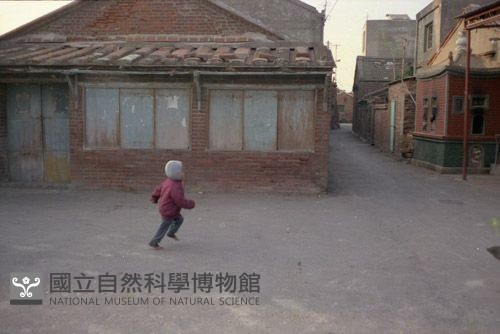 1950至2006年臺灣常民生活藏品圖，第1張