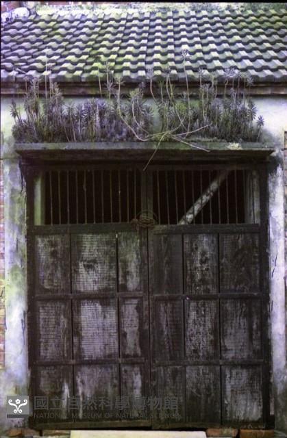 1950至2006年臺灣常民生活藏品圖，第1張