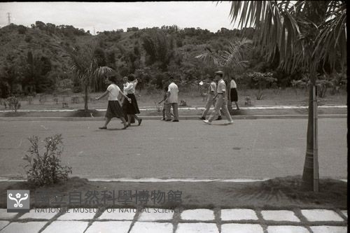 1950至2006年臺灣常民生活藏品圖，第1張