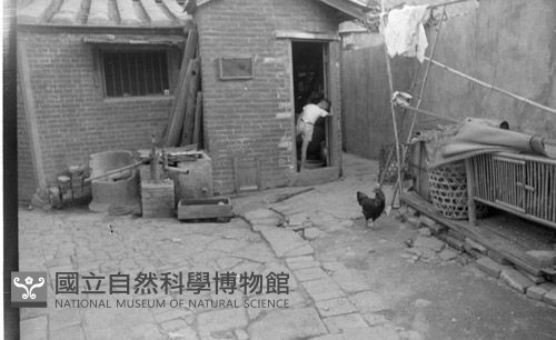 1950至2006年臺灣常民生活藏品圖，第1張
