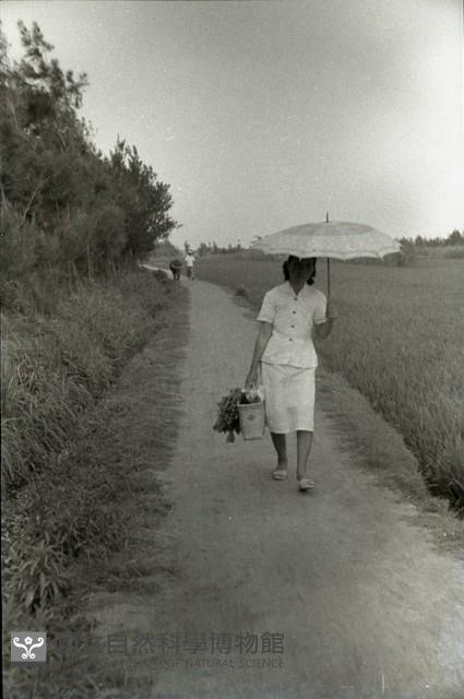 1950至2006年臺灣常民生活藏品圖，第1張