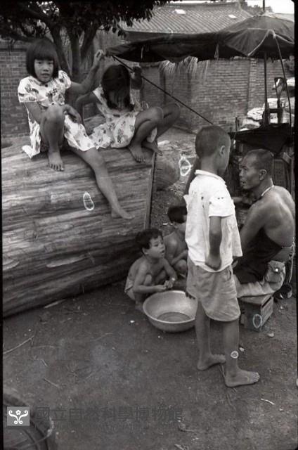 1950至2006年臺灣常民生活藏品圖，第1張