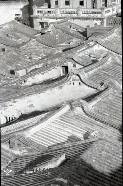1950至2006年台灣常民生活(No:149-2 黑)藏品圖，第1張
