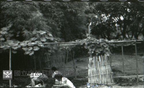 1950至2006年臺灣常民生活藏品圖，第1張