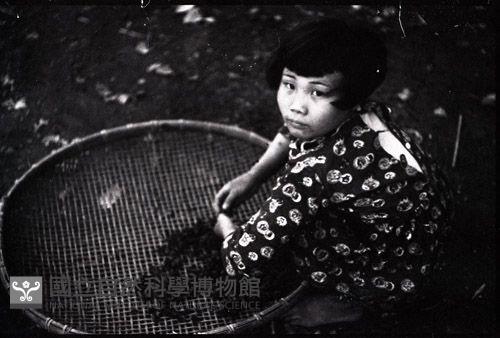 1950至2006年臺灣常民生活藏品圖，第1張