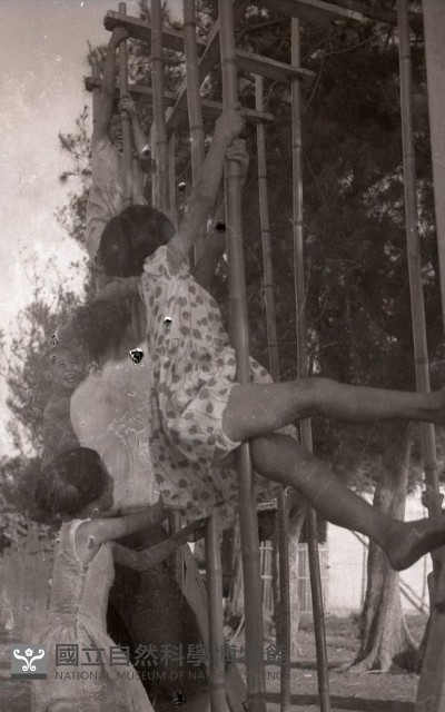 1950至2006年臺灣常民生活藏品圖，第1張