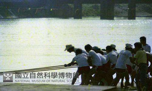 1950至2006年臺灣常民生活藏品圖，第1張