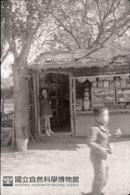 1950至2006年臺灣常民生活藏品圖，第1張