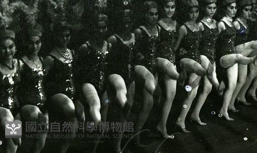 1950至2006年臺灣常民生活藏品圖，第1張