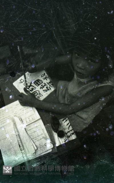 1950至2006年臺灣常民生活藏品圖，第1張