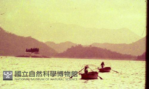 1950至2006年臺灣常民生活藏品圖，第1張
