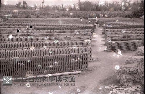 1950至2006年臺灣常民生活藏品圖，第1張