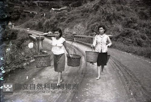 1950至2006年臺灣常民生活藏品圖，第1張