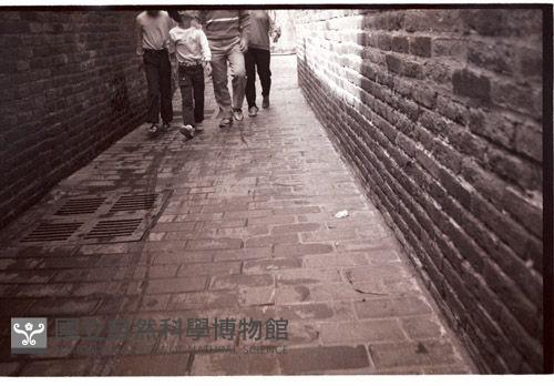 1950至2006年臺灣常民生活藏品圖，第1張
