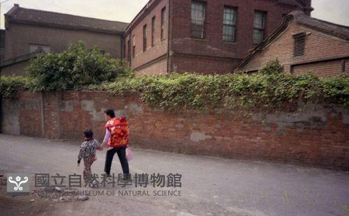 1950至2006年臺灣常民生活藏品圖，第1張