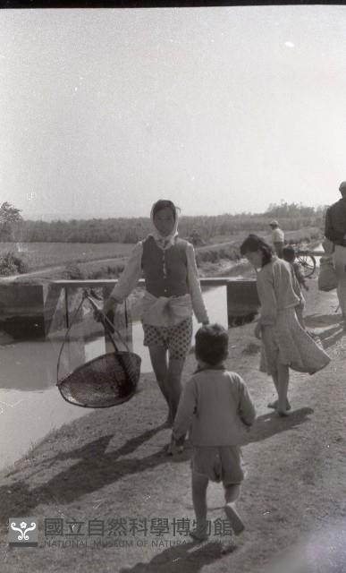 1950至2006年臺灣常民生活藏品圖，第1張