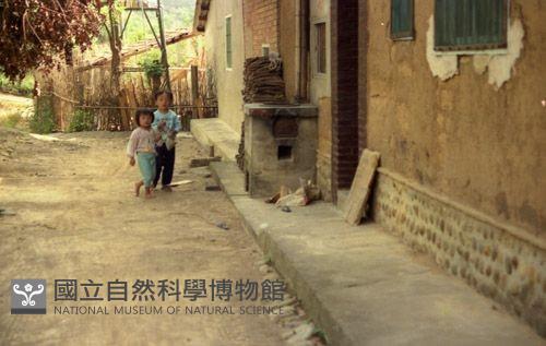 1950至2006年臺灣常民生活藏品圖，第1張