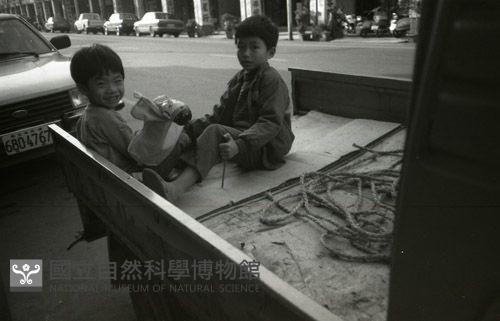 1950至2006年臺灣常民生活藏品圖，第1張