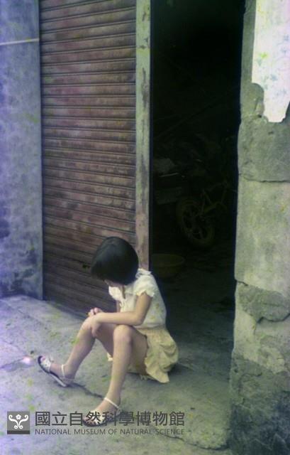 1950至2006年臺灣常民生活藏品圖，第1張