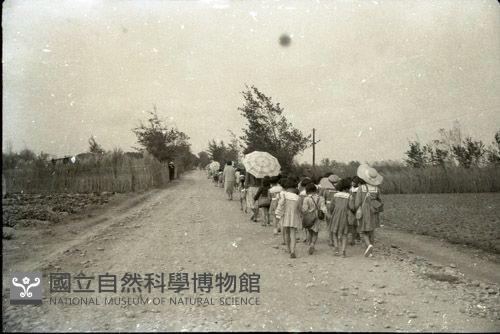 1950至2006年臺灣常民生活藏品圖，第1張