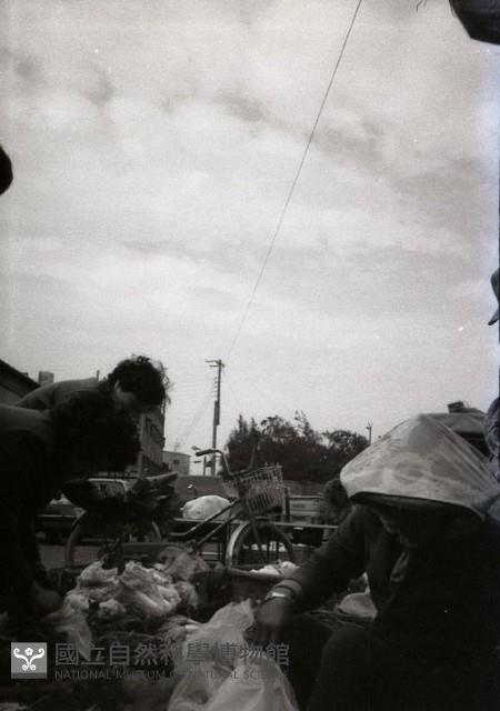 1950至2006年臺灣常民生活藏品圖，第1張