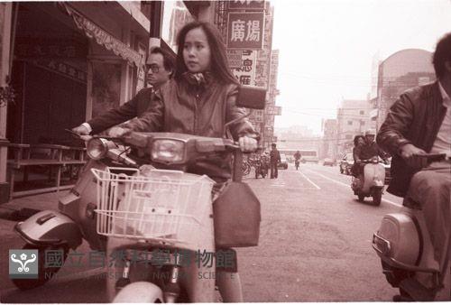 1950至2006年臺灣常民生活藏品圖，第1張