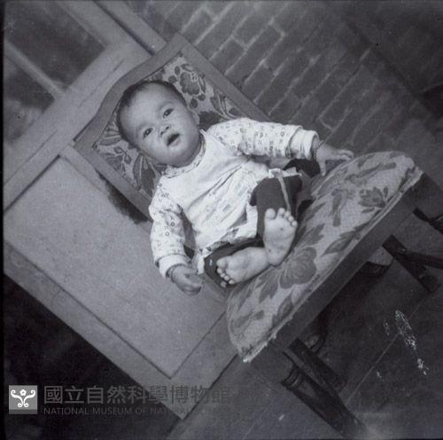 1950至2006年臺灣常民生活藏品圖，第1張