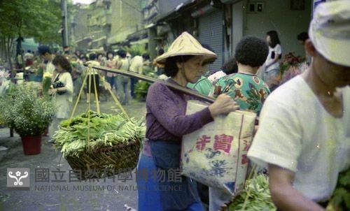 1950至2006年臺灣常民生活藏品圖，第1張