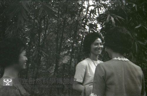 1950至2006年台灣常民生活藏品圖，第1張