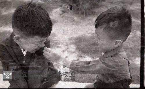 1950至2006年臺灣常民生活 藏品圖，第1張