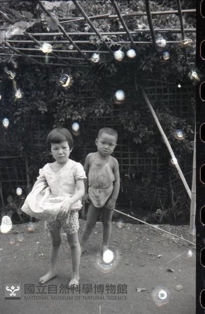 1950至2006年臺灣常民生活藏品圖，第1張