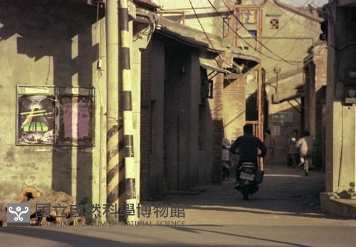 1950至2006年臺灣常民生活藏品圖，第1張