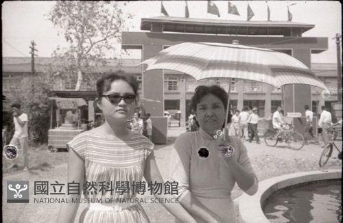 1950至2006年台灣常民生活藏品圖，第1張