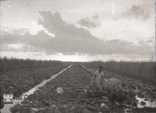 1950至2006年臺灣常民生活藏品圖，第1張
