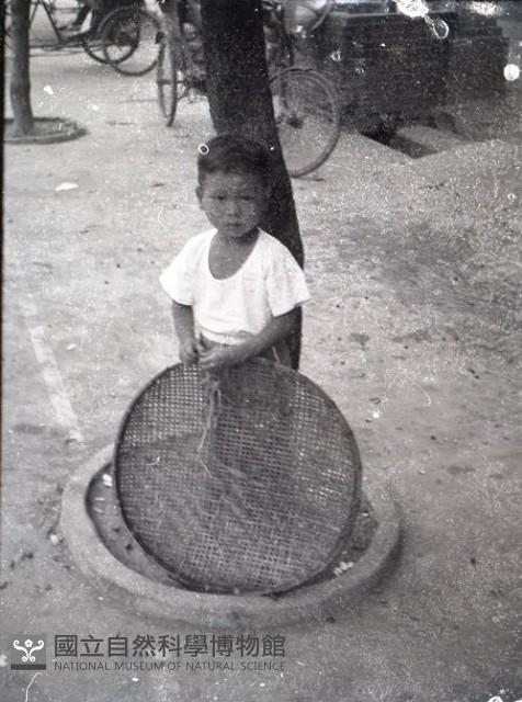1950至2006年台灣常民生活藏品圖，第1張