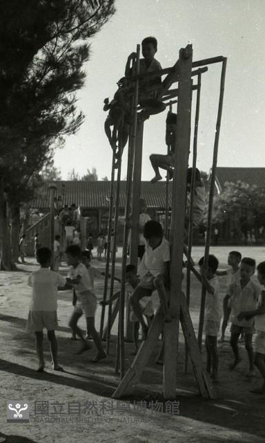 1950至2006年臺灣常民生活藏品圖，第1張