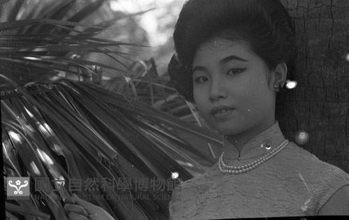 1950至2006年臺灣常民生活藏品圖，第1張