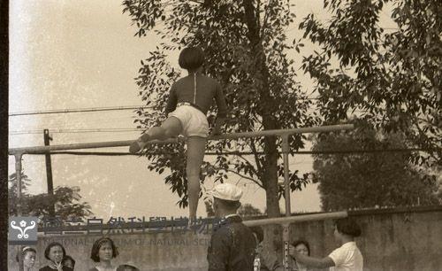 1950至2006年臺灣常民生活藏品圖，第1張