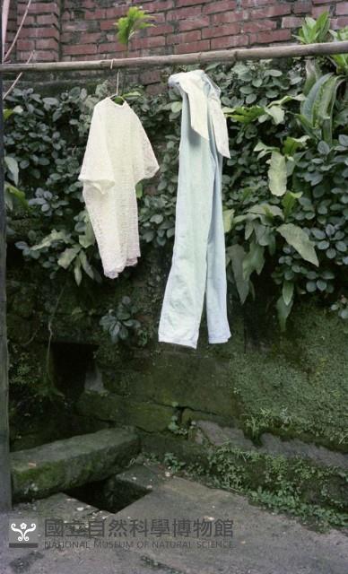 1950至2006年臺灣常民生活藏品圖，第1張