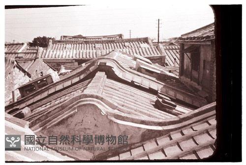 1950至2006年臺灣常民生活藏品圖，第1張