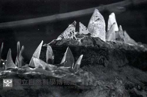 1950至2006年台灣常民生活藏品圖，第1張