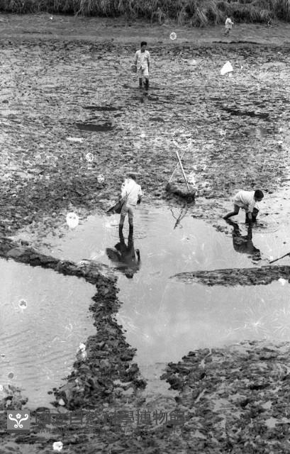 1950至2006年臺灣常民生活藏品圖，第1張