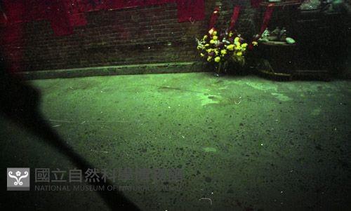 1950至2006年臺灣常民生活藏品圖，第1張