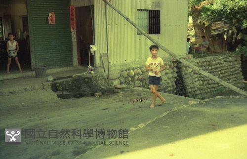1950至2006年臺灣常民生活藏品圖，第1張