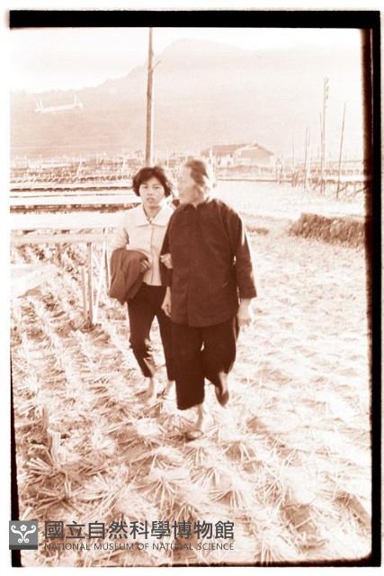 1950至2006年臺灣常民生活藏品圖，第1張