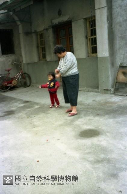 1950至2006年臺灣常民生活藏品圖，第1張