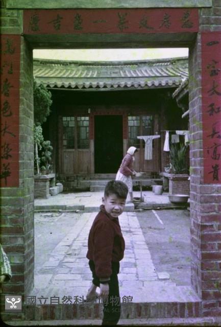 1950至2006年臺灣常民生活藏品圖，第1張