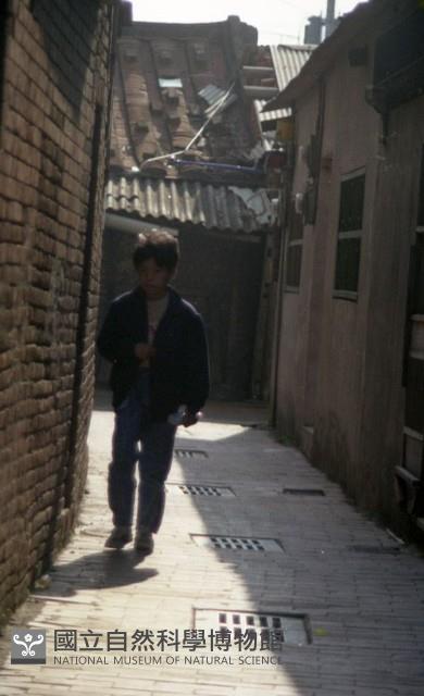1950至2006年臺灣常民生活藏品圖，第1張