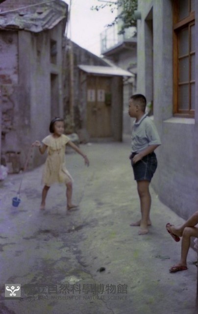 1950至2006年臺灣常民生活藏品圖，第1張