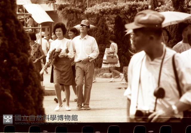 1950至2006年臺灣常民生活藏品圖，第1張